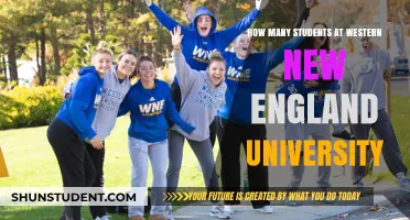 Exploring Western New England University's Student Population