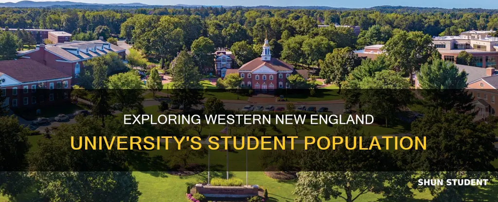 how many students at western new england university