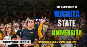 Exploring Wichita State University's Student Population