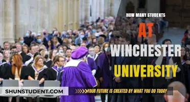Exploring Winchester University's Student Population