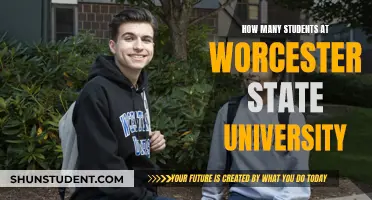 Exploring the Student Population at Worcester State University