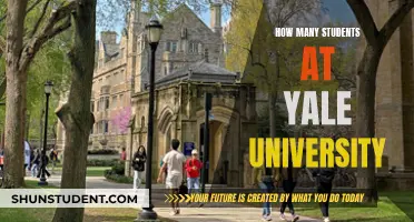 Yale University Student Population: How Many Are There?