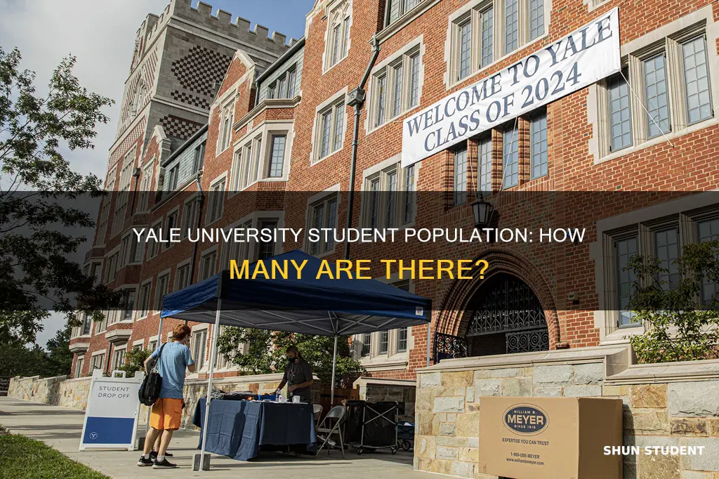 how many students at yale university