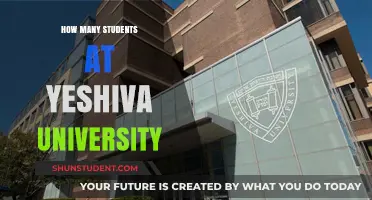 Student Population at Yeshiva University