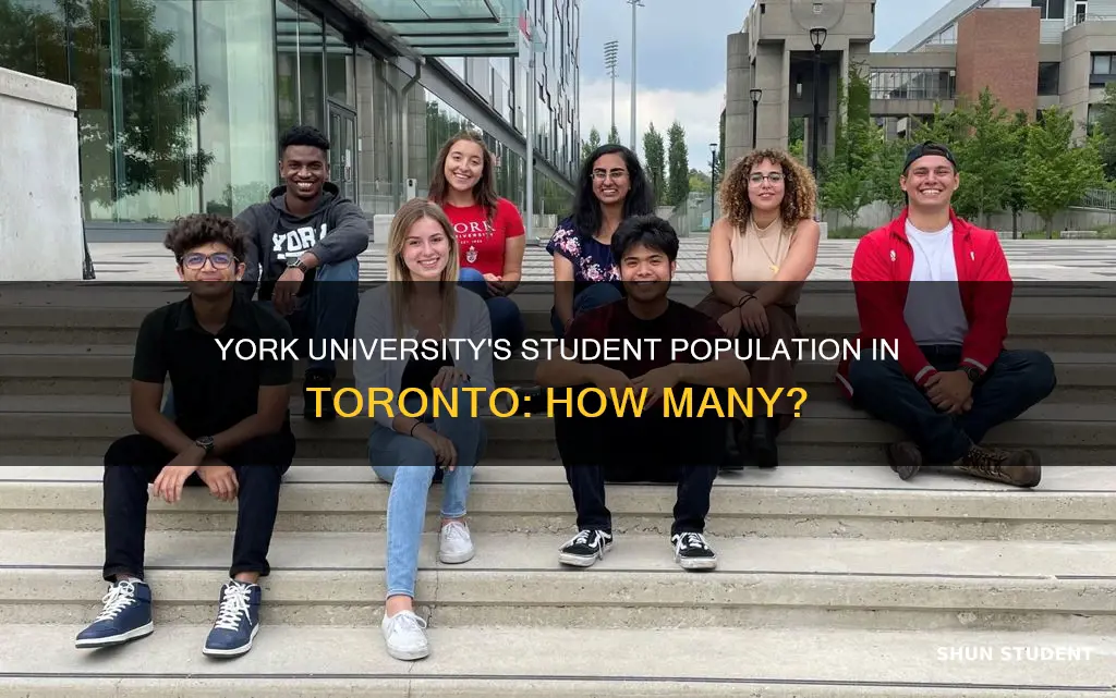 how many students at york university in toronto