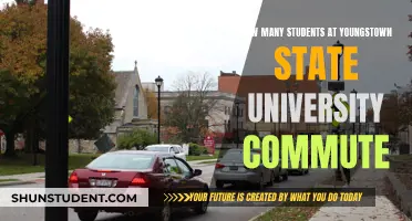 Youngstown State University: Commuting Student Population Insights