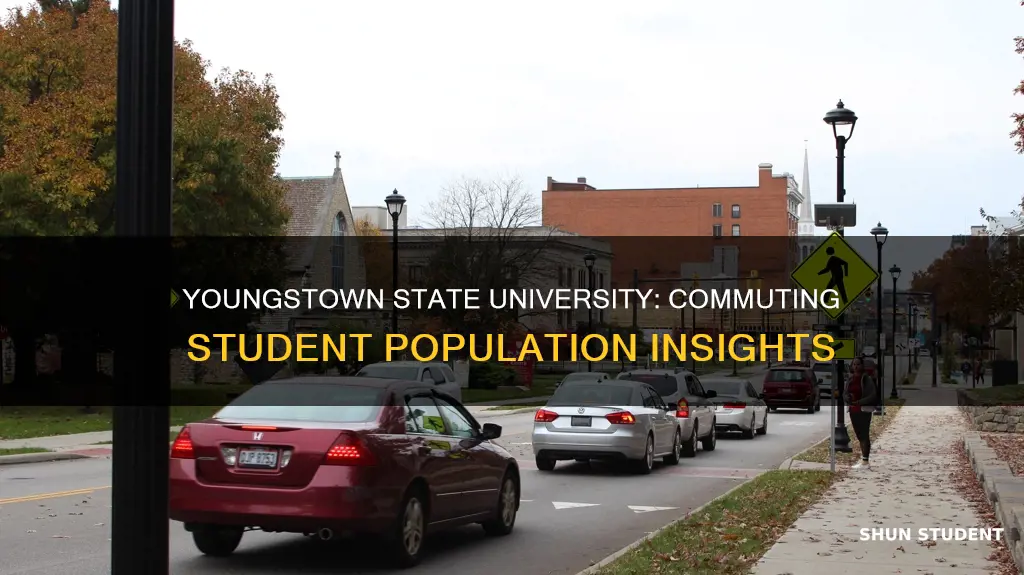 how many students at youngstown state university commute