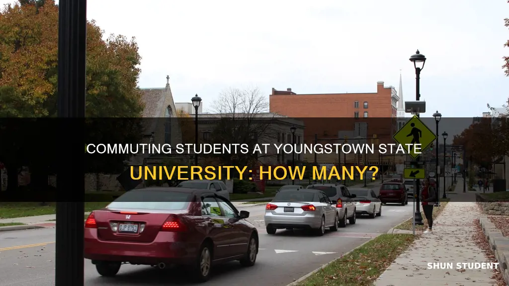how many students at youngstown state university commute
