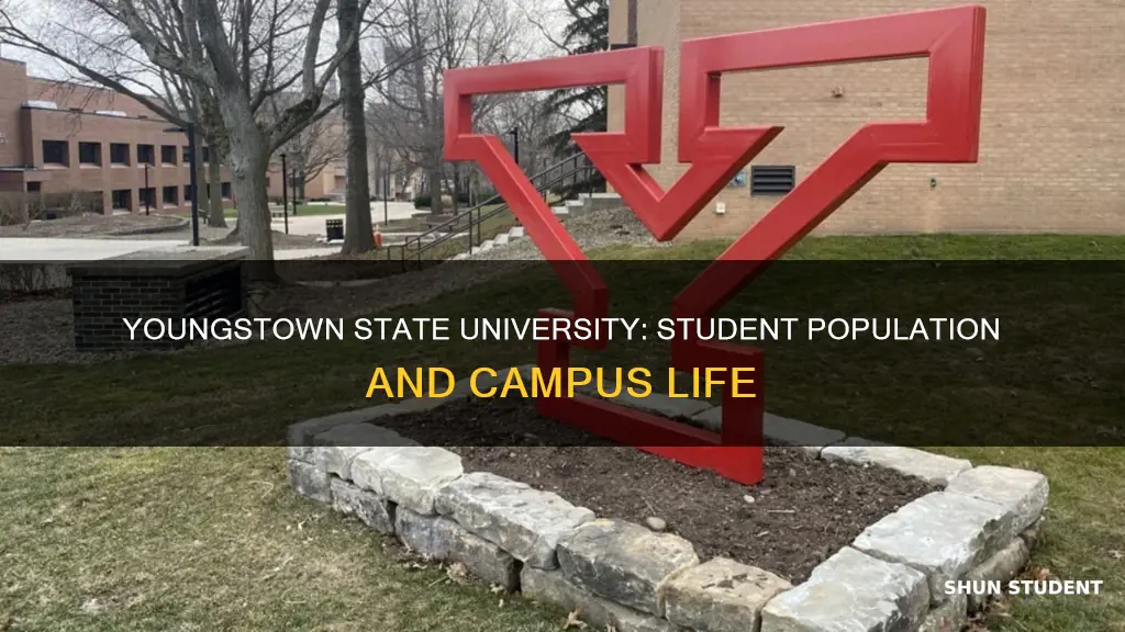 how many students at youngstown state university