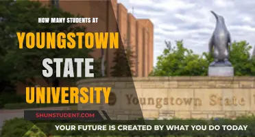 Youngstown State University: Student Population Insights