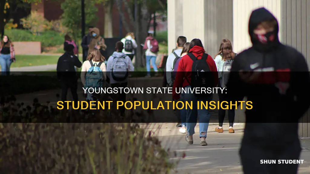 how many students at youngstown state university
