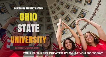 Ohio State University: Student Population Insights