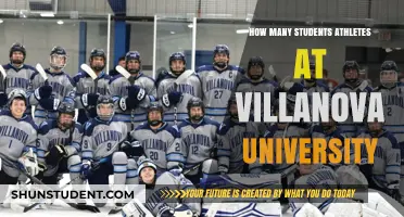 Student-Athletes: A Large Part of Villanova University's Culture