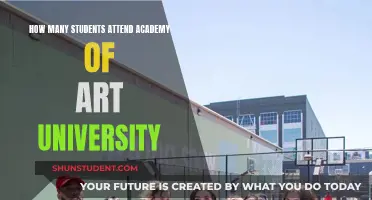 Art Academy University: Student Numbers and You