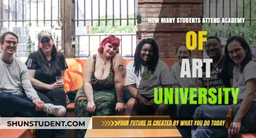 Art Academy University: Student Numbers and You