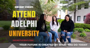 Exploring Adelphi University's Student Population