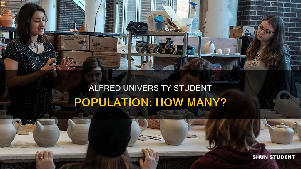 how many students attend alfred university