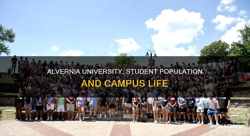 how many students attend alvernia university