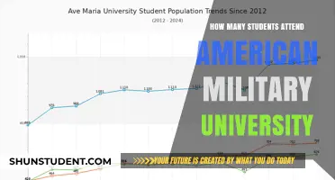 American Military University: Enrollment Figures and Insights