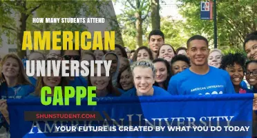American University's CAPP Program: Student Attendance Insights