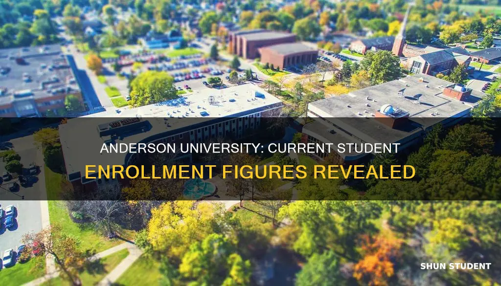 how many students attend anderson university