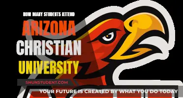 Christian University in Arizona: Student Population Insights