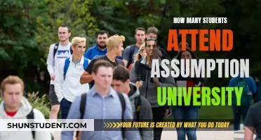 Assumption University's Student Population: A Comprehensive Overview