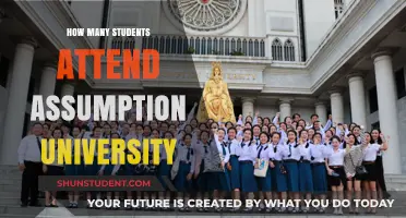 Attendee Numbers at Assumption University: How Many Students?
