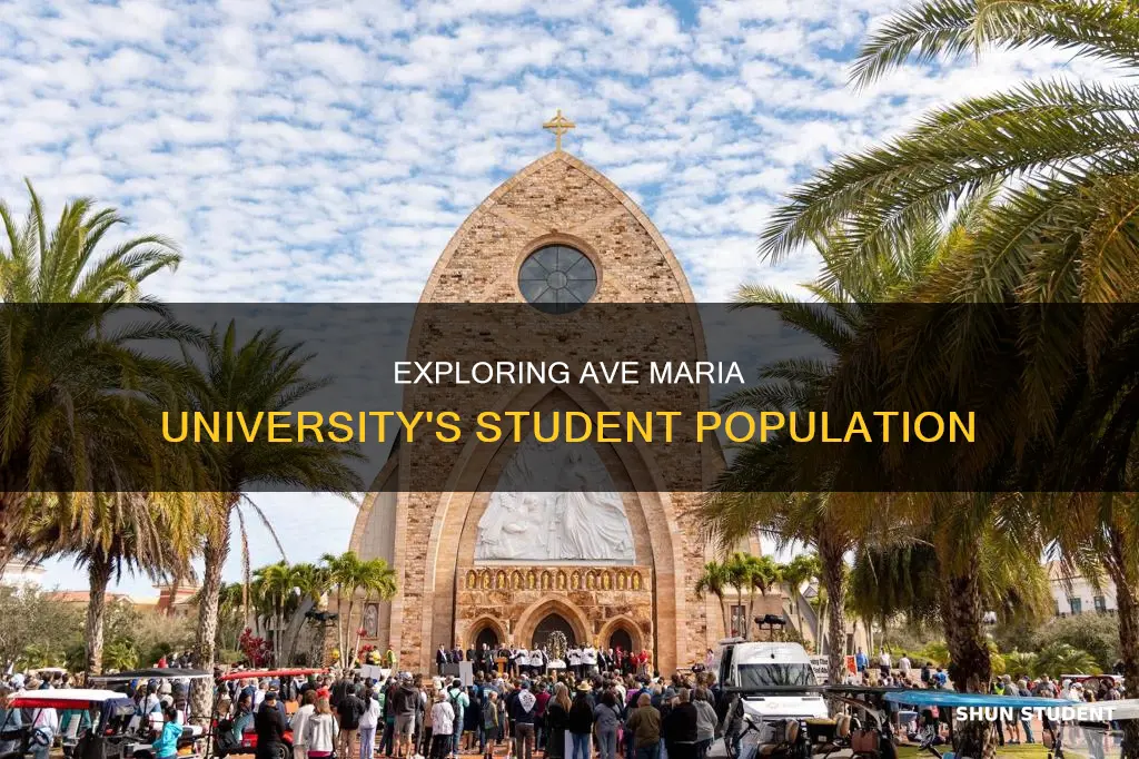 how many students attend ave maria university