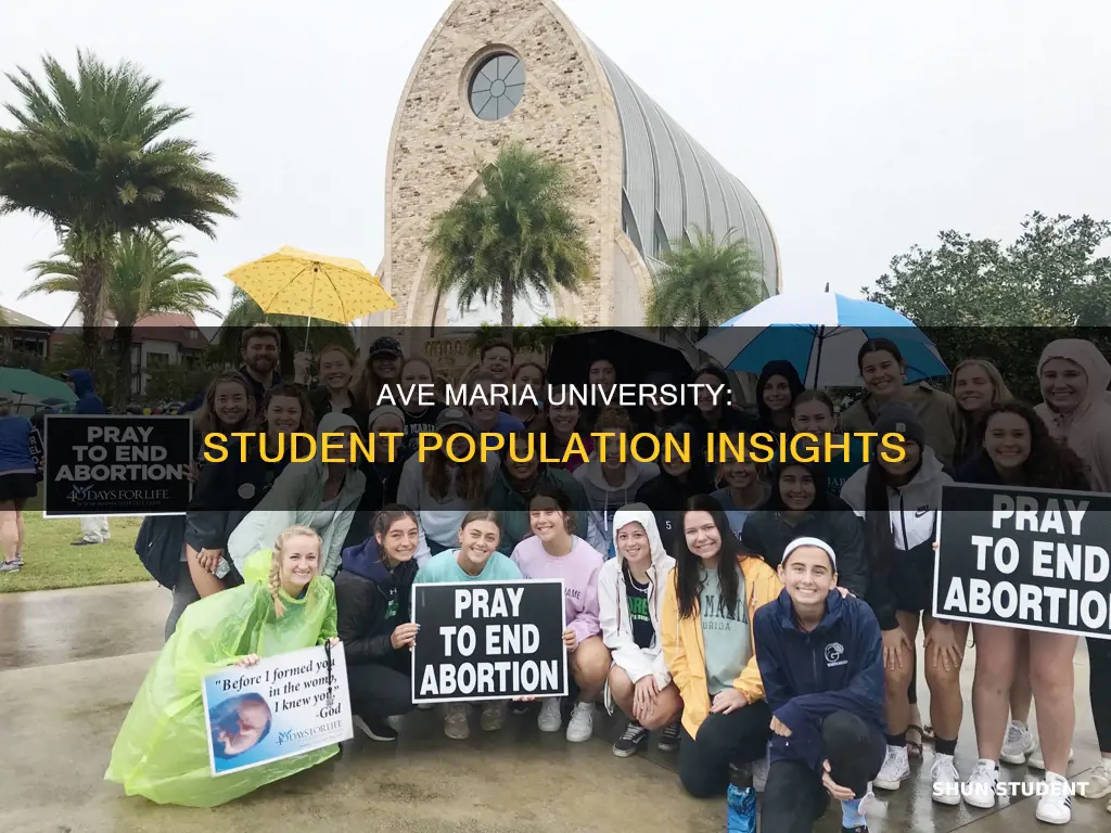 how many students attend ave maria university