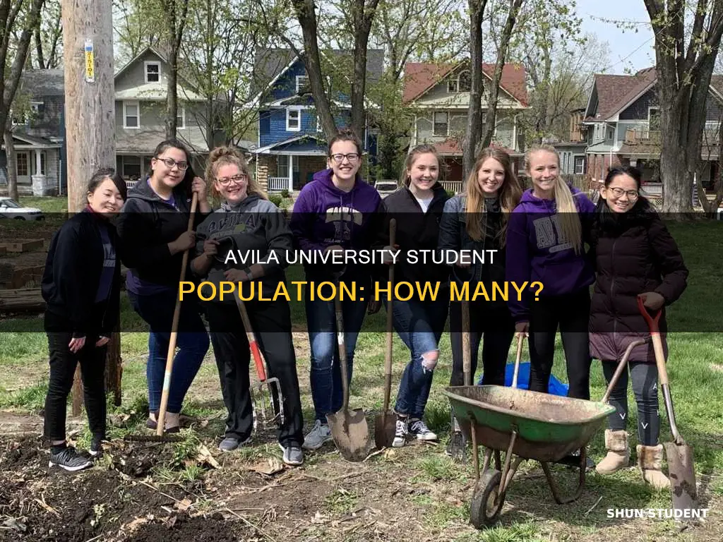 how many students attend avila university