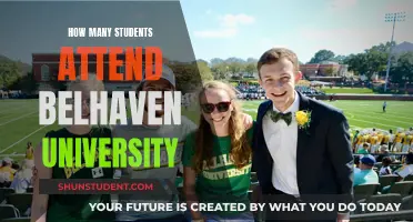 Belhaven University: Student Population and Campus Life