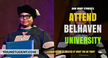 Belhaven University: Student Population and Campus Life