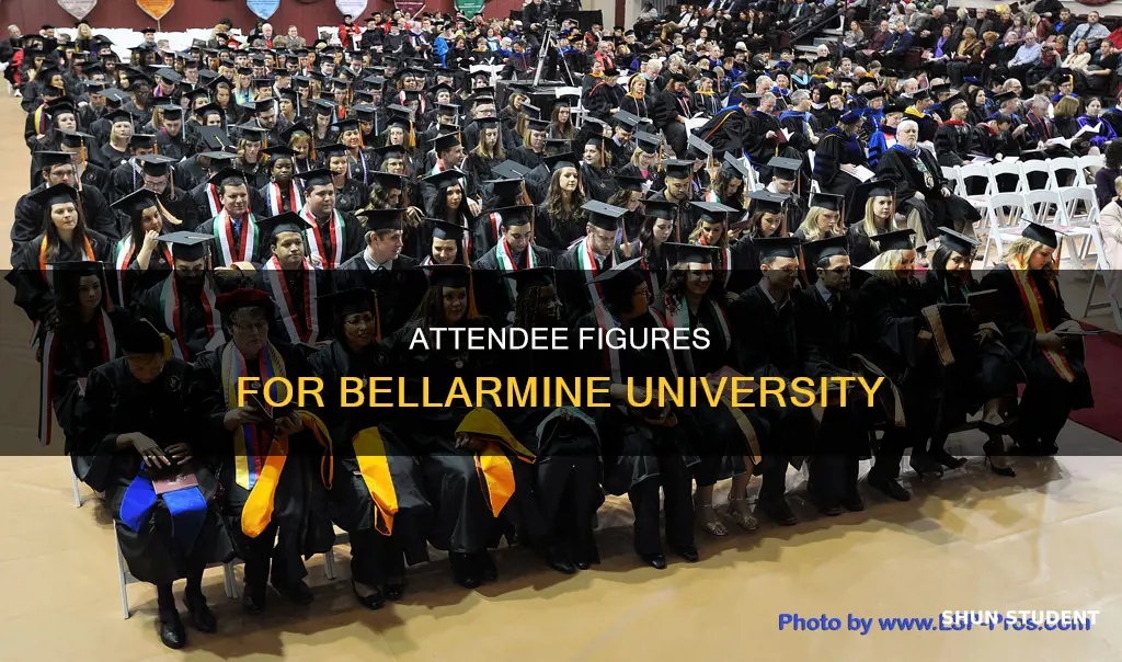 how many students attend bellarmine university