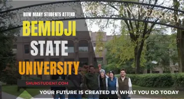 Bemidji State University: Enrollment and Attendance Insights