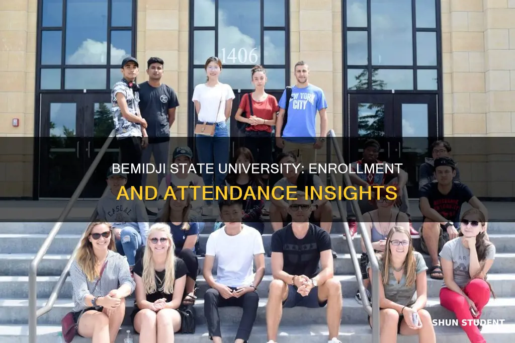 how many students attend bemidji state university