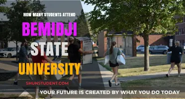 Bemidji State University: Student Population and You