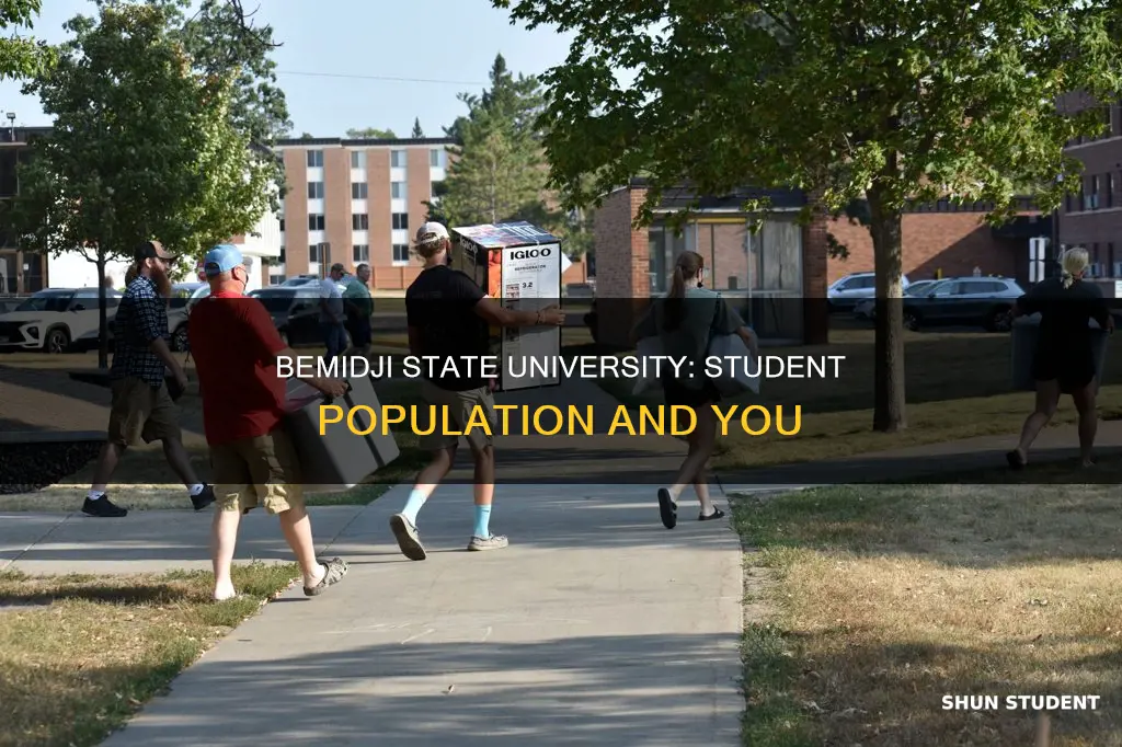 how many students attend bemidji state university