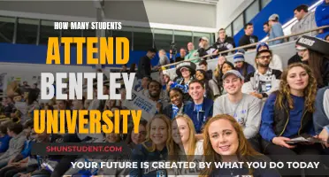 Bentley University's Student Population: How Many Attend?