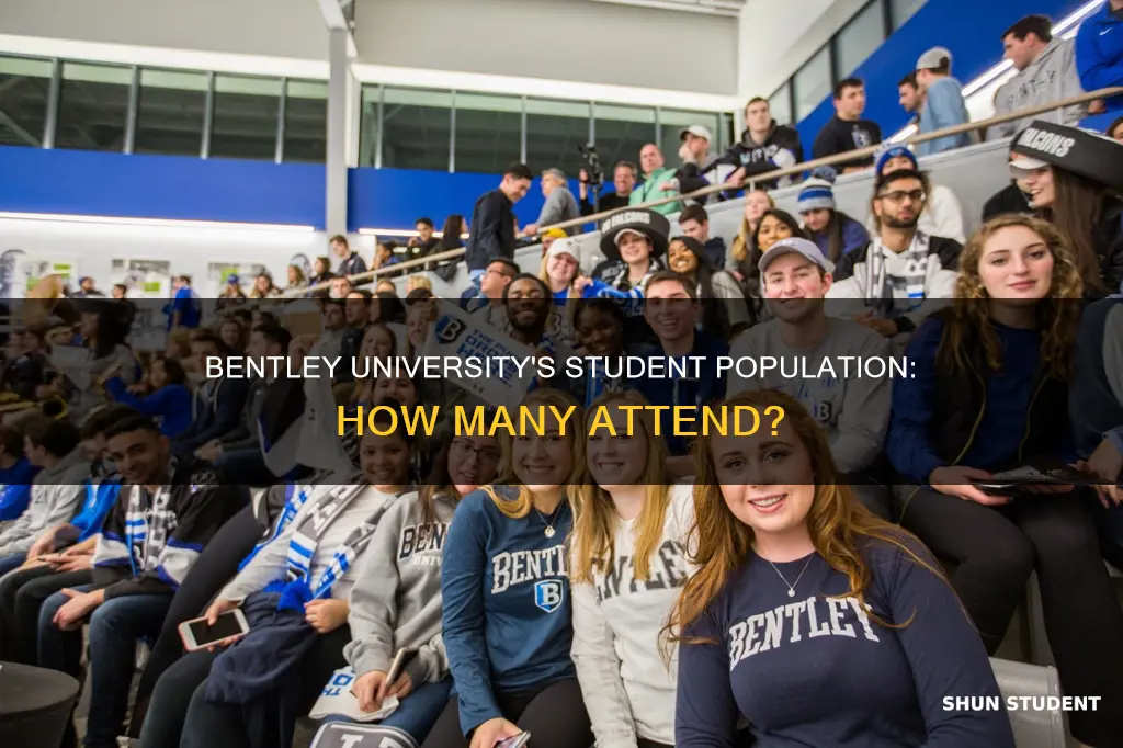 how many students attend bentley university