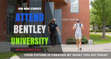 Bentley University's Student Population: A Comprehensive Overview