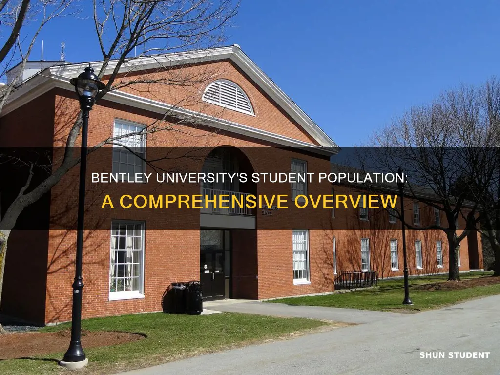 how many students attend bentley university