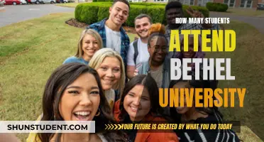 Bethel University's Student Population: How Many Attend?