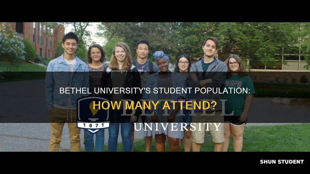 how many students attend bethel university