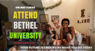 Bethel University's Student Population: How Many?