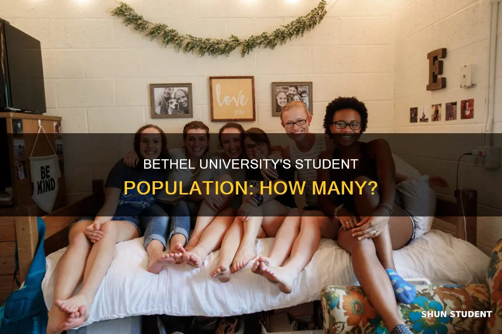 how many students attend bethel university