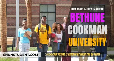 Bethune-Cookman University: Enrollment and Attendance Insights