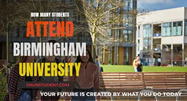 Birmingham University's Student Population: How Many?