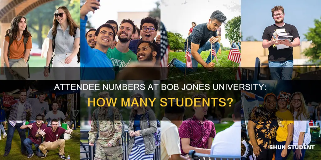 how many students attend bob jones university