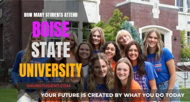 Boise State University: Enrollment Figures and Trends